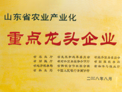 徐坊大曲：重點(diǎn)龍頭企業(yè)